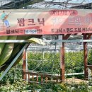 한아름삽시도영농조합법인 | 임실 명정원예영농조합 아이들과의 체험 후기