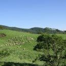 태정목장 이미지