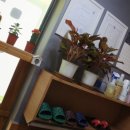 더바디건강안마원 이미지