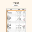 블리스 동물의료센터 이미지