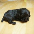 도봉-도봉-서울도봉-2335 Daum카페