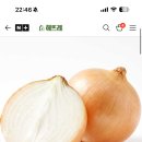 네멤) 햇양파 대사이즈 1.5kg 1,490원 무배 이미지