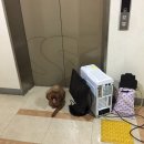 할매족발 - 관악구 난곡로40길 6 | 할매족발
