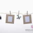 함께따로여행사 이미지