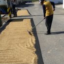 임실자연농원 이미지