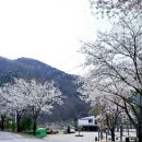 원주튠업카서비스 | 원주 캠핑장 칠봉송정캠핑장 가족 캠핑 후기