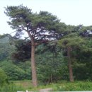장현2리 이미지