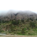 안덕농협주유소 이미지