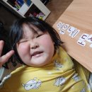 여우바라기 이미지