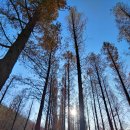 황금공원화장실 이미지