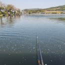 어천낚시터 이미지