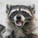 두들리도넛부산전포점 이미지