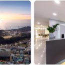 신신세탁소 | 제주 서귀포 가성비 | 신신호텔 서귀포 10만원 미만 4성급 호텔 후기