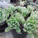 지혜의샘터 이미지