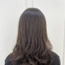 비비드 수헤어 이미지