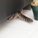 토곡동물병원 이미지