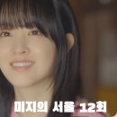 상월 농장 | 미지의 서울 12회 12화 마지막회 결말 나의 서울 완벽한 위로를 건네준 드라마