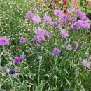 종환농장 이미지