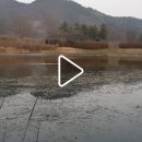 친구횟집 이미지