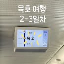 다온이상점 | 무코야선물가게-도째비골스카이밸리-미유키말차-파도상점-묵호항닭-오복떡집-초당쫄면-잔잔하게-책방균형