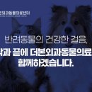 더본 외과동물의료센터 이미지