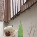 효네일 - 남구 | 효네일
