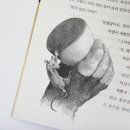 몰드윈