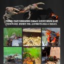 게바농장 이미지