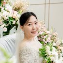 웨딩시그니처 합정 아너스홀 예식 라이트댓 본식 스냅 사진 후기