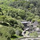 하동편백자연휴양림 이미지