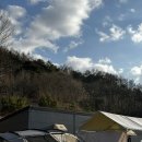 충남 아산 캠프정감 후기(애견전용캠핑장)