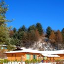 풀잎향기 이미지