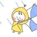 마이크 엔터테인먼트 이미지