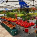 울트라공인중개사사무소 이미지