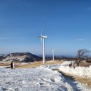 가리왕산목장 이미지