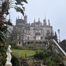 배우물농장 | 트립 와이너리,아베이루,헤겔레이라,코임브라, 도보투어 등 5개 투어 내돈내산 추천 후기🤍 (2026년 겨울)