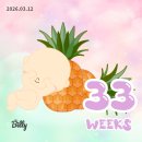 구세산부인과의원 | 임신 33주 구세산부인과 태반위치 아기빨래시작 만삭사진 백일해주사