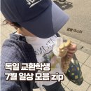 오븐 앞 달콤한 순간들(주간, 7월) | [독일 교환학생] 7월 종강 후 일상 모아모아.. 자취생...픽치온 현지 발급 후기 feat.얼마안남은 귀국ㅜ