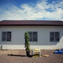 감귤향기 이미지