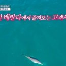 큰집민박 이미지