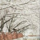 연락