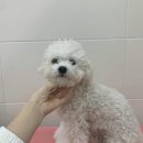 러브몽먼트 이미지