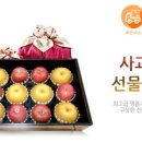 썬플러스 이미지