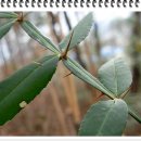 개산초등학교 이미지