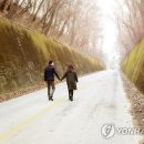 생태터널입구 이미지