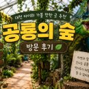 공룡의집 | 대천 아이와 가볼 만한 곳 추천, 공룡의 숲 방문 후기