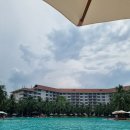 청년피자(수영구점) | 지니깐 집에가넹...중부시내 제니스스파, 킹콩마트, 카페, 베트남에서 피자먹기, 마시고놀자 DAY3-DAY4