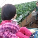 서율농장 이미지