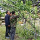 김영곤 농장 이미지