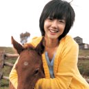 각설탕 이미지